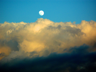 Image Concealment Films - MH Studios